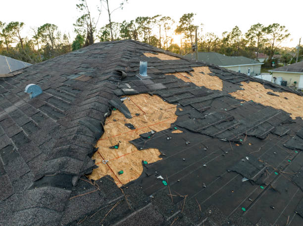 Best Roof Insulation Installation  in Bellerose, NY